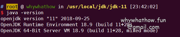 image-20220218114233868