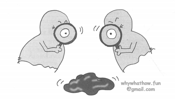 Observer_sample